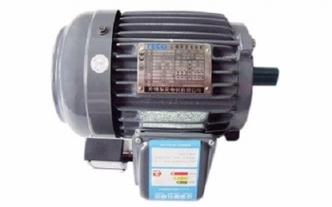 TECO Brake Motors