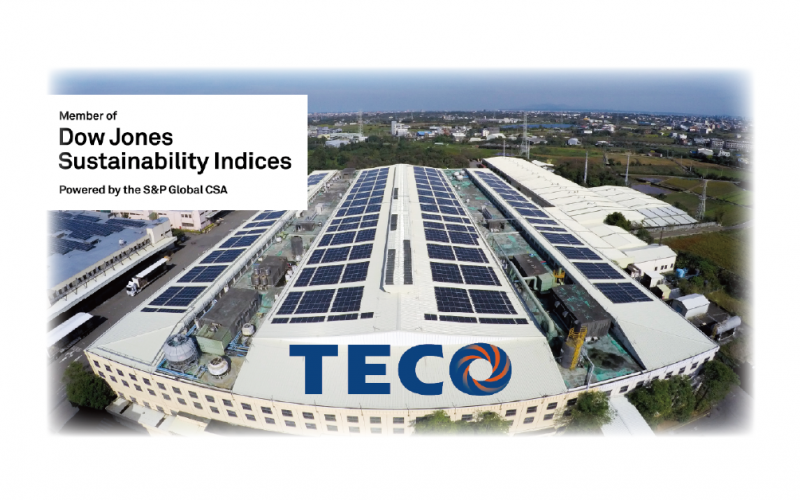 Included in Dow Jones Sustainability Index for three years in a row, TECO has won the highest international recognition again